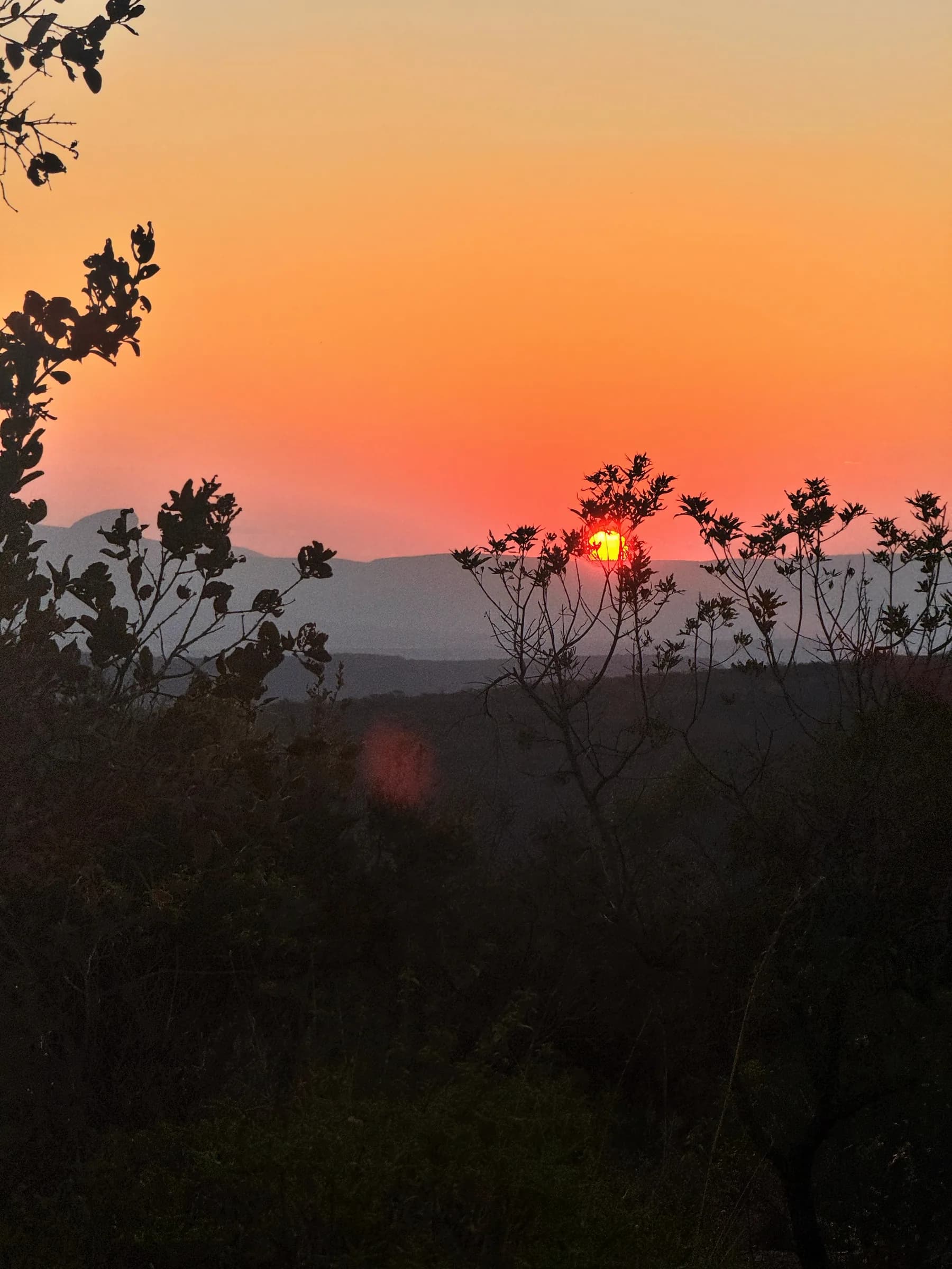 The sun going down over the bushveld from camp
